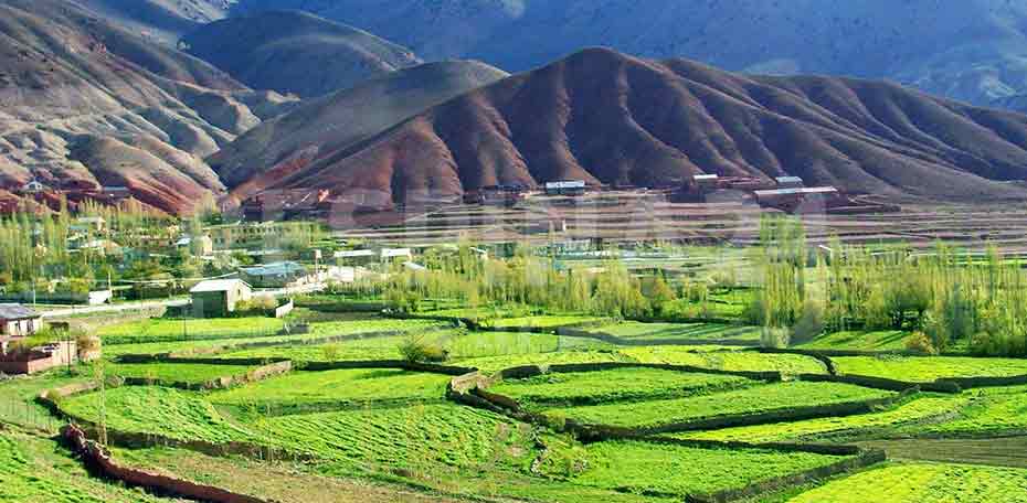 بلیط قطار شیراز سمنان - رسپینا 24